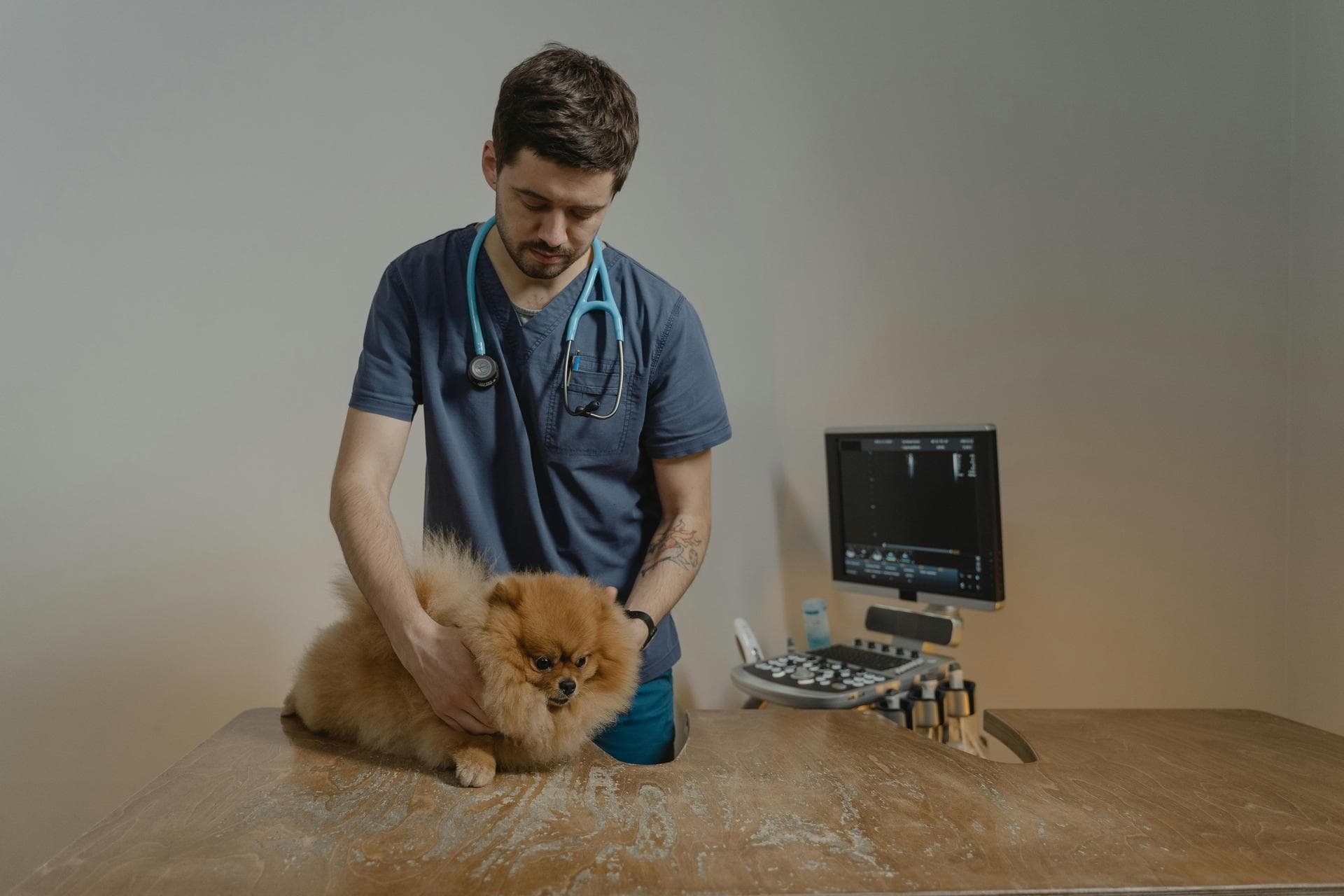 Best Vets in Newton